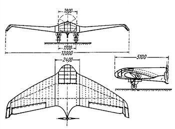 Amazon.co.jp: The Delta Wing: History and Development