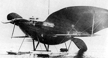 curtiss_goupil_duck_350.jpg