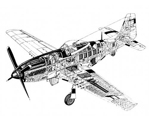 mustang_diagram_350.jpg