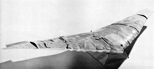 northrop_model_1939_a_350.jpg