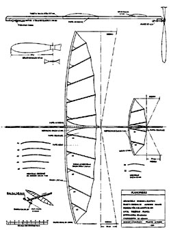 penaud_plano_plan_250.jpg