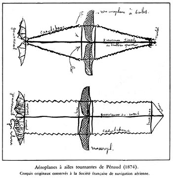 penaud_wings_350.jpg