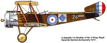 sopwith_h_strutter_5091_350.jpg