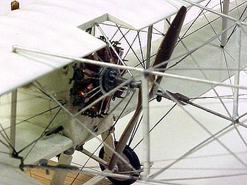 voisin_3_model_011_350.jpg