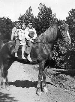 whr_horse_c1912_1_250.jpg